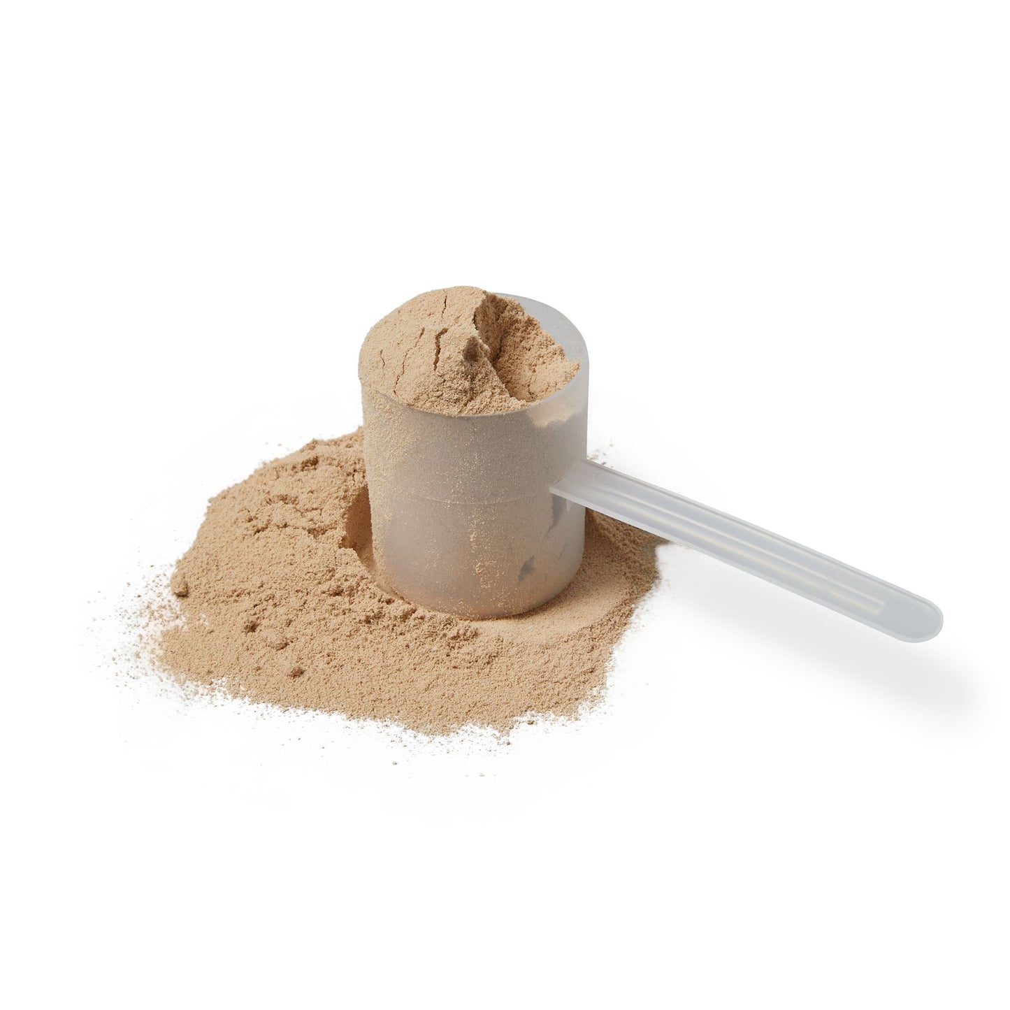 Dilatancy Whey Isolate Protein Supplement (907g, 2lb)