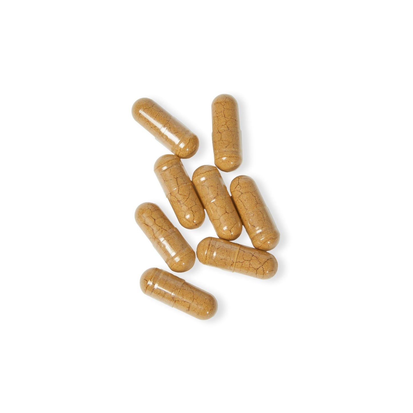 Dilatancy Mushroom Blend Supplement (60 Capsules)