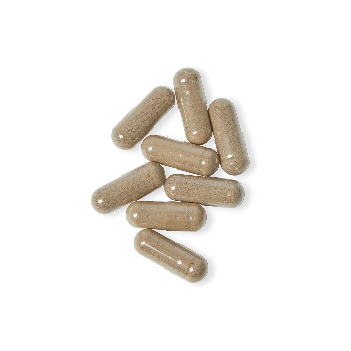 Dilatancy Sea Moss Supplement (60 Capsules)