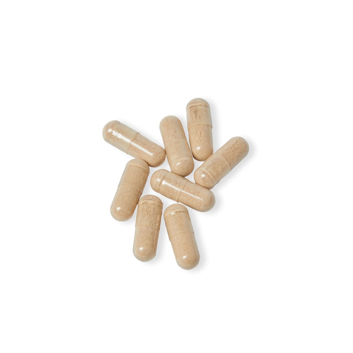 Dilatancy Brain Support Complex Supplement (60 Capsules)